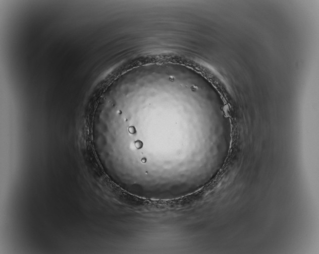 X0000099940871200805301215