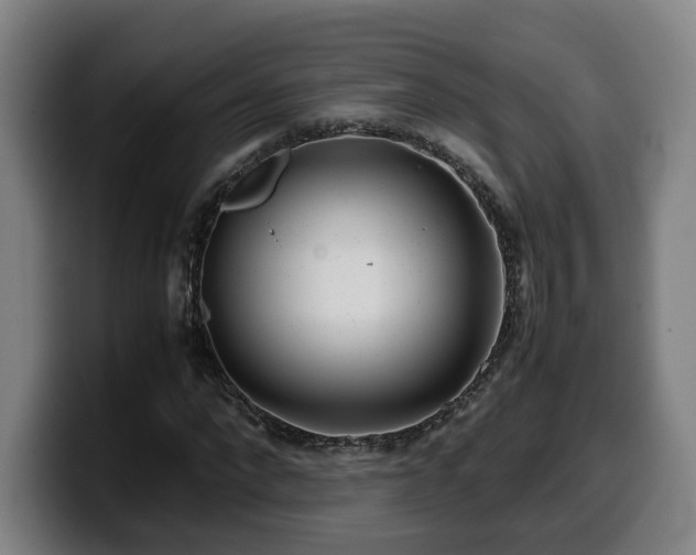 X0000099940872200805301215