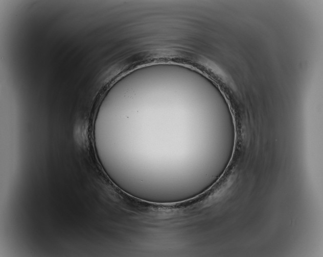 X0000099940873200805301215