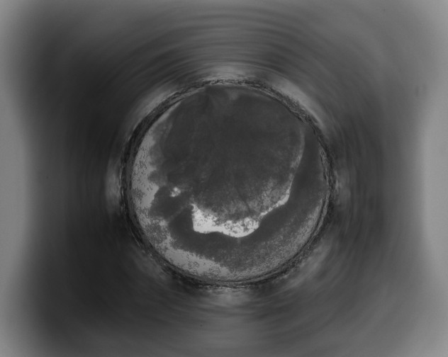 X0000099940874200805301215