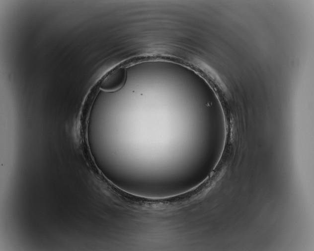 X0000099940876200805301215