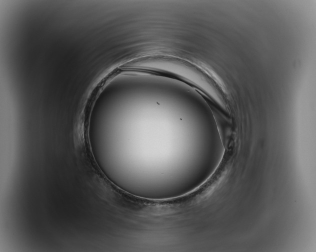 X0000099940877200805301215