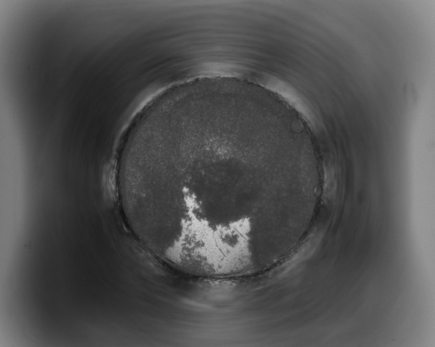 X0000099940878200805301215