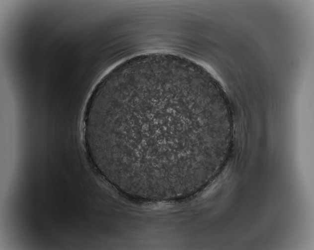 X0000099940879200805301215