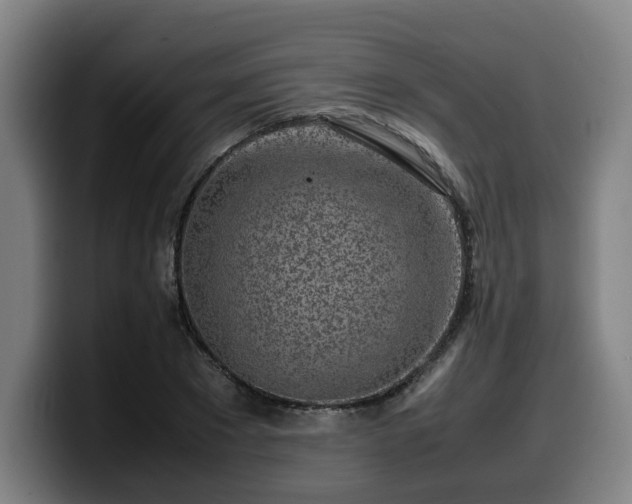 X0000099940881200805301215