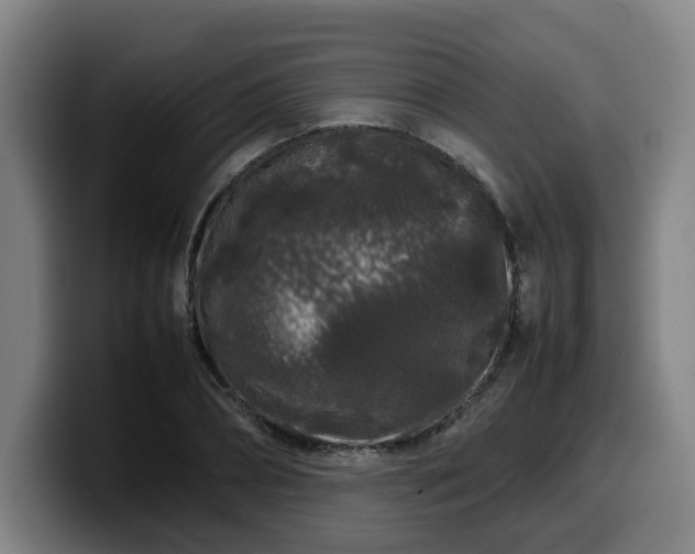 X0000099940882200805301215