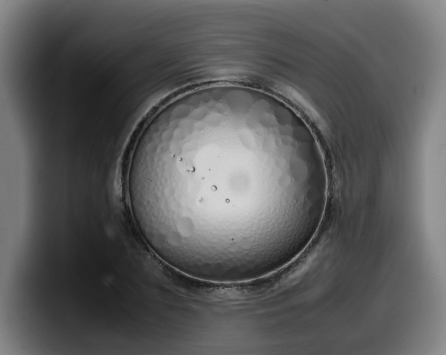 X0000099940883200805301215