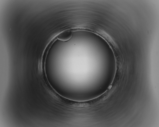 X0000099940884200805301215