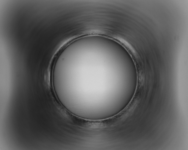 X0000099940886200805301215
