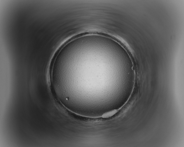 X0000099940887200805301215