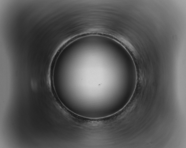 X0000099940888200805301215