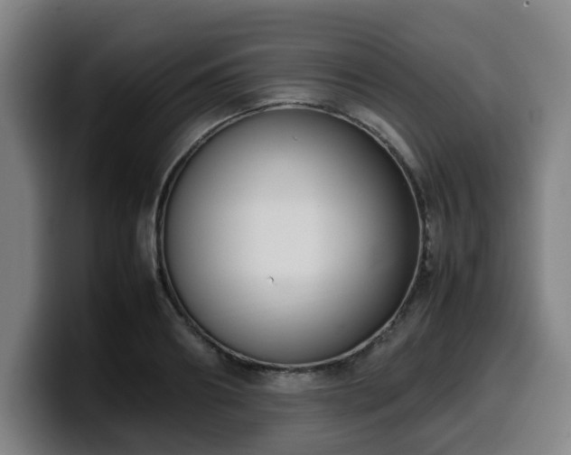 X0000099940890200805301215