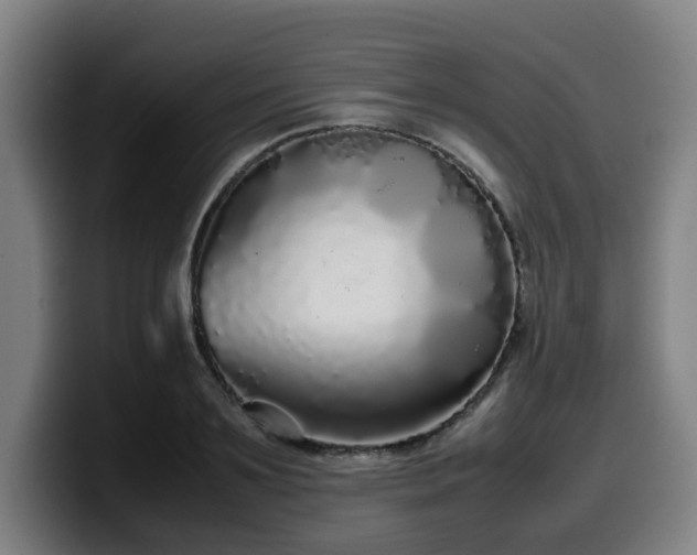 X0000099940891200805301215