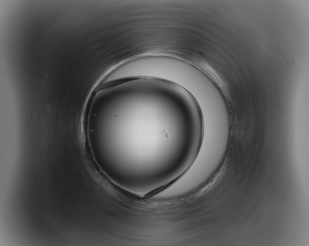 X0000099940892200805301215
