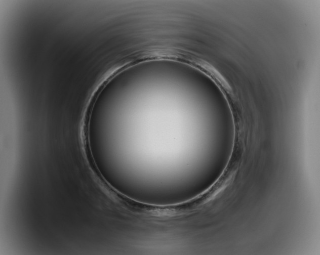 X0000099940893200805301215