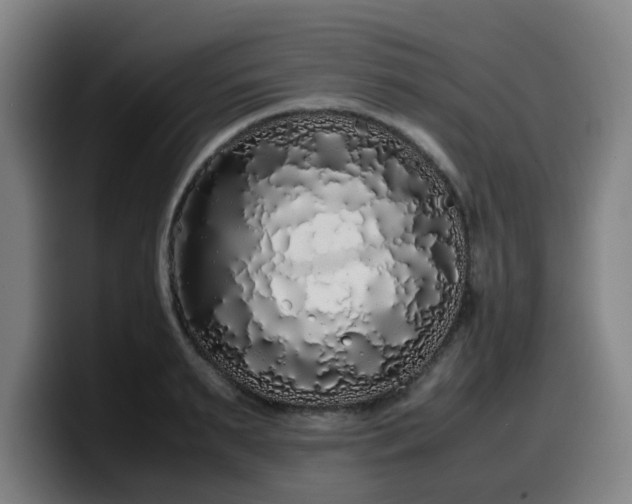 X0000099940895200805301215