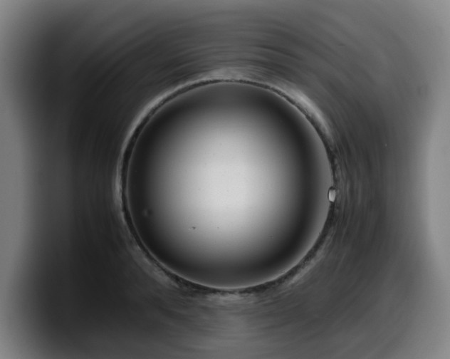 X0000099940896200805301215