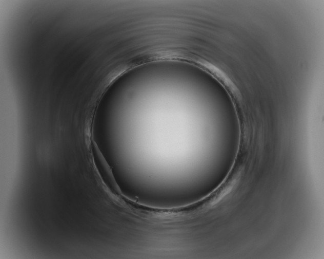 X0000099940897200805301215