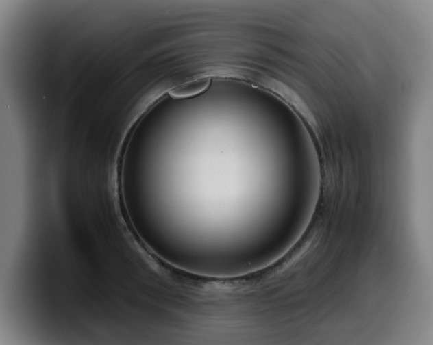 X0000099940898200805301215
