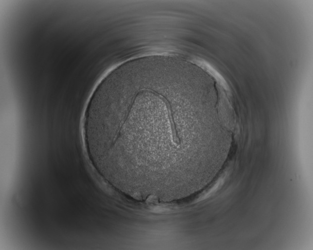 X0000099940899200805301215