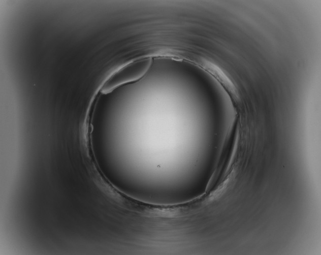 X0000099940900200805301215
