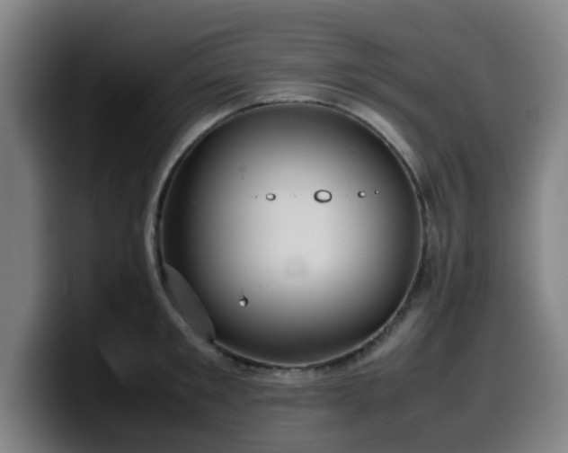 X0000099940901200805301215