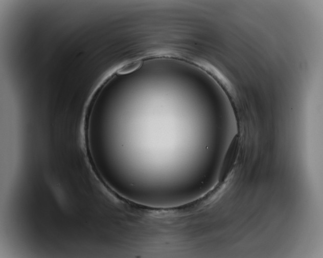 X0000099940902200805301215