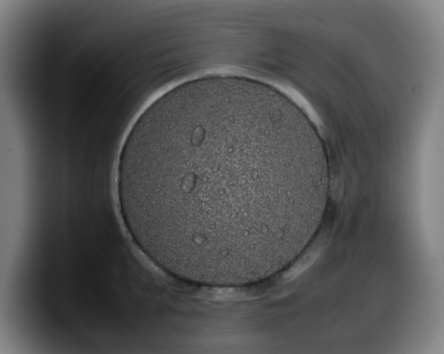 X0000099940903200805301215