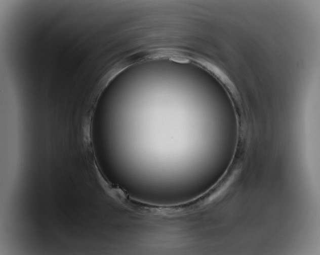 X0000099940905200805301215