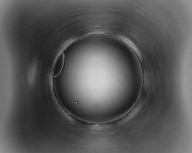 X0000099940906200805301215