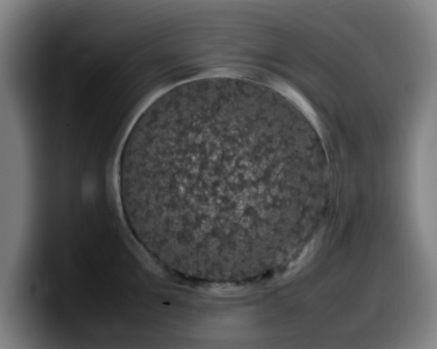X0000099940907200805301215