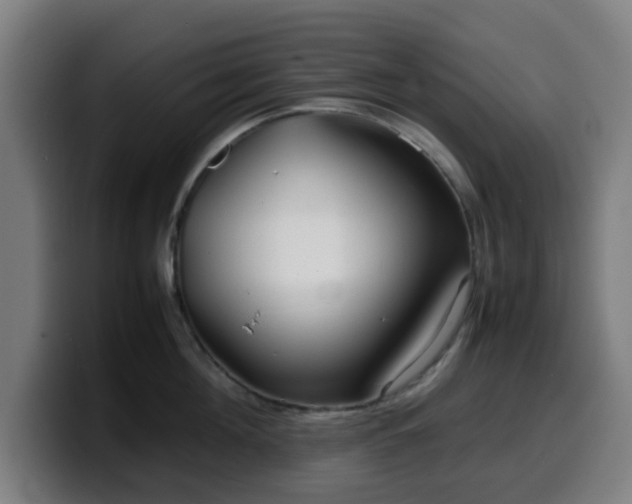 X0000099940908200805301215