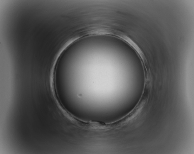 X0000099940909200805301215