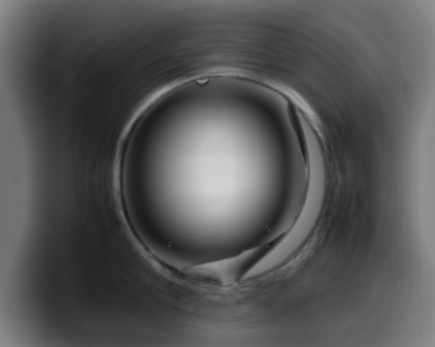 X0000099940910200805301215
