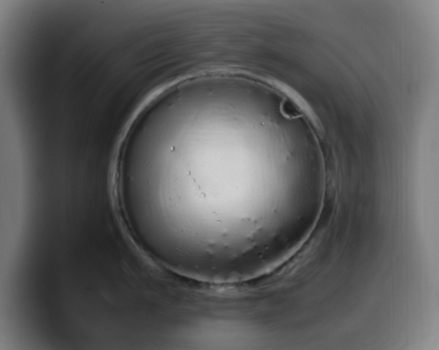 X0000099940911200805301215
