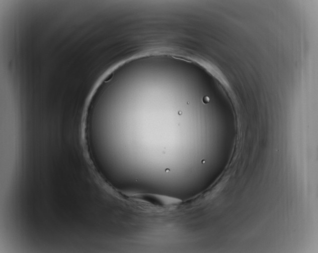 X0000099940912200805301215