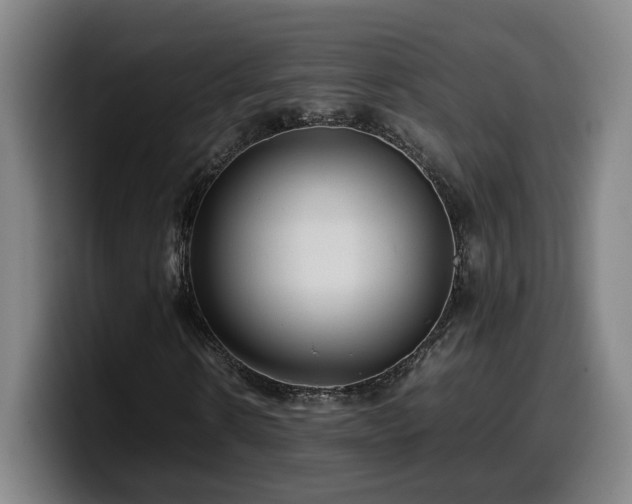 X0000099940914200805301214