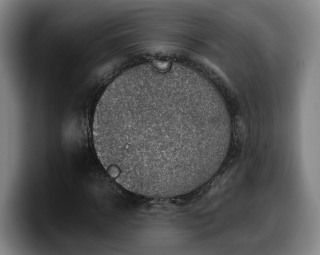 X0000099940918200805301214