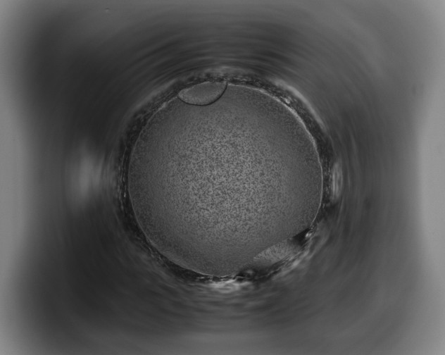 X0000099940919200805301214