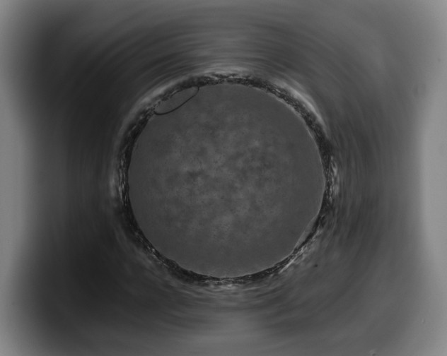 X0000099940920200805301214