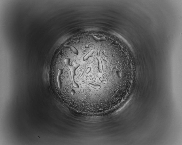 X0000099940921200805301214