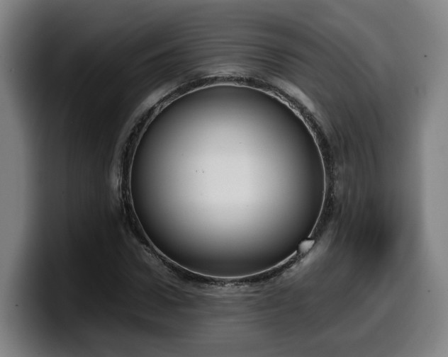 X0000099940922200805301214