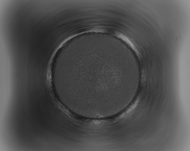 X0000099940923200805301214