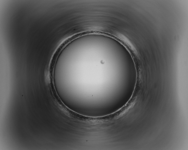 X0000099940924200805301214