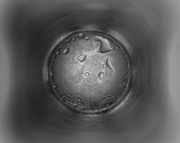X0000099940925200805301214