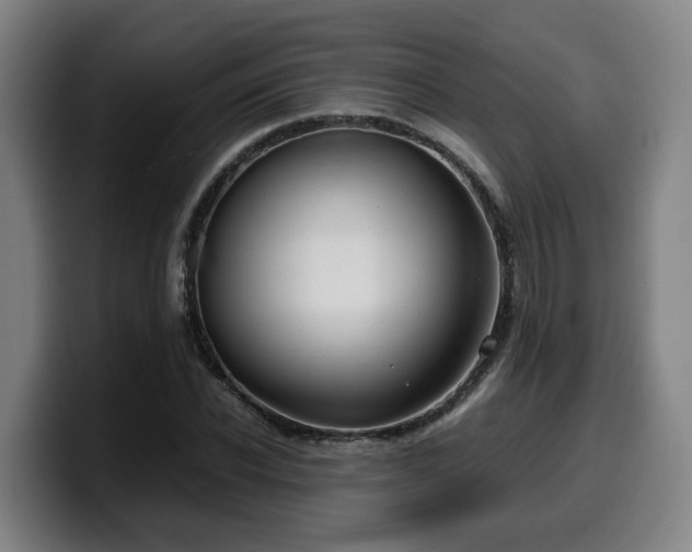 X0000099940926200805301214