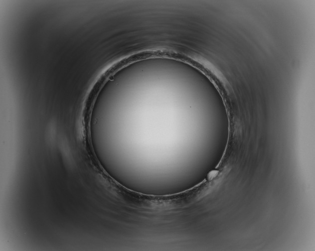 X0000099940927200805301214