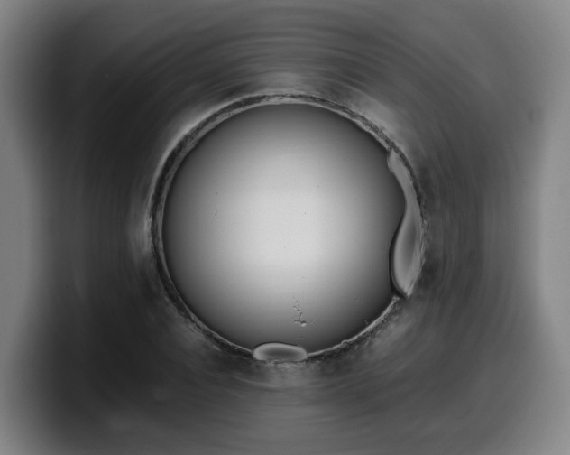X0000099940928200805301214