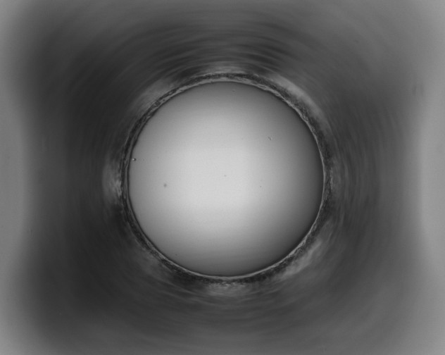 X0000099940929200805301214