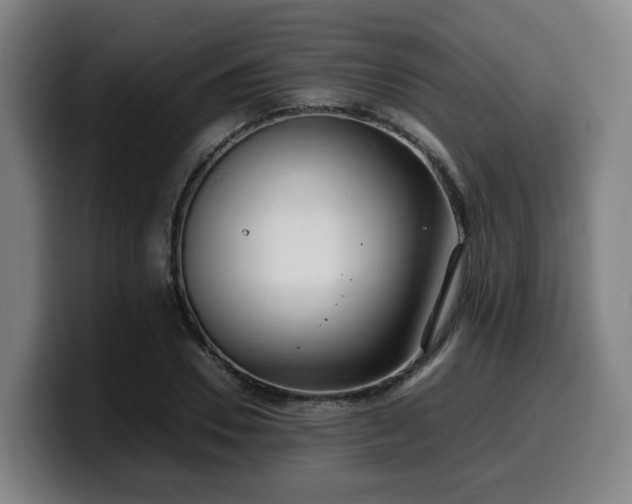 X0000099940930200805301214